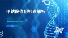 甲鈷胺作用機理解析