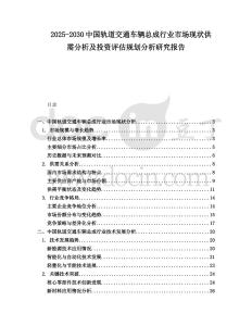2025-2030中國軌道交通車輛總成行業(yè)市場(chǎng)現(xiàn)狀供需分析及投資評(píng)估規(guī)劃分析研究報(bào)告