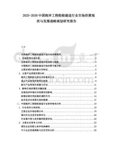 2025-2030中國海洋工程船舶建造行業市場供需現狀與發展戰略規劃研究報告