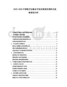 2025-2030中國航空運(yùn)輸業(yè)市場發(fā)展現(xiàn)狀調(diào)研及戰(zhàn)略規(guī)劃分析