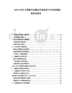 2025-2030中國航空運(yùn)輸業(yè)市場現(xiàn)狀與未來發(fā)展趨勢(shì)研究報(bào)告