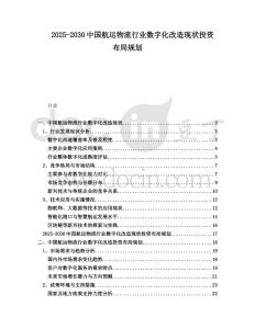 2025-2030中國(guó)航運(yùn)物流行業(yè)數(shù)字化改造現(xiàn)狀投資布局規(guī)劃