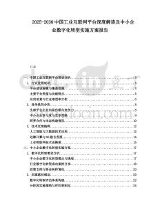 2025-2030中國工業互聯網平臺深度解讀及中小企業數字化轉型實施方案報告