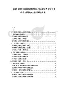 2025-2030中國國際貿易行業市場龐大考察及前景改善與投資安全管理系統方案