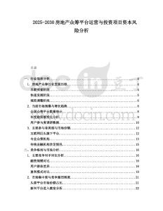 2025-2030房地產眾籌平臺運營與投資項目資本風險分析