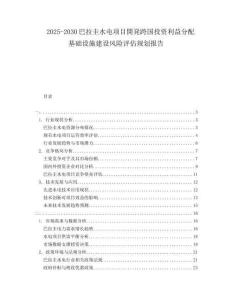 2025-2030巴拉圭水電項目開発跨國投資利益分配基礎(chǔ)設(shè)施建設(shè)風(fēng)險評估規(guī)劃報告
