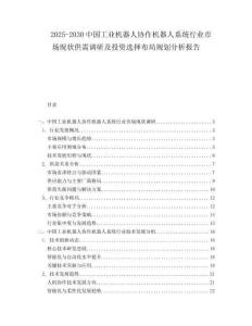 2025-2030中國工業機器人協作機器人系統行業市場現狀供需調研及投資選擇布局規劃分析報告