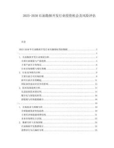 2025-2030石油勘探開發行業投資機會及風險評估
