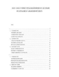 2025-2030中國航空貨運地面保障服務行業市場調研及貨運服務與地面保障研究報告