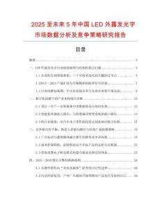 2025至未來5年中國LED外露發(fā)光字市場數(shù)據(jù)分析及競爭策略研究報告