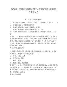 2025湖北恩施州來鳳縣宏晟工業發展有限公司招聘3人模擬試卷及1套參考答案詳解