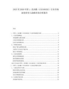2025至2030中國γ戊內酯（CAS108292）行業市場深度研究與戰略咨詢分析報告