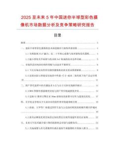 2025至未來5年中國迷你半球型彩色攝像機市場數據分析及競爭策略研究報告