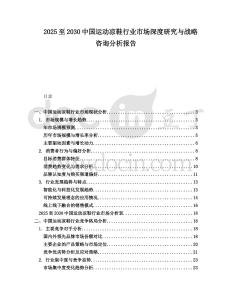 2025至2030中國運動涼鞋行業(yè)市場深度研究與戰(zhàn)略咨詢分析報告