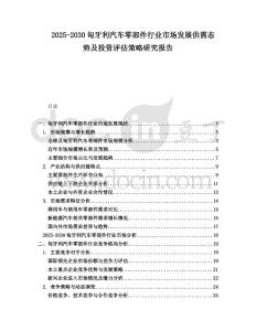 2025-2030匈牙利汽車零部件行業(yè)市場發(fā)展供需態(tài)勢及投資評估策略研究報告