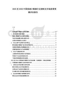 2025至2030中國浪涌計數器行業調研及市場前景預測評估報告