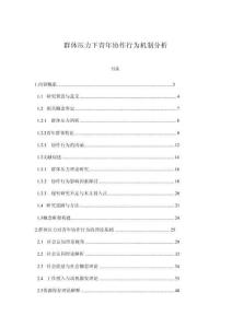 群体压力下青年协作行为机制分析