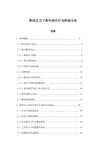 群体压力下青年协作行为机制分析