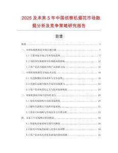 2025及未來5年中國偵察機(jī)煙花市場數(shù)據(jù)分析及競爭策略研究報(bào)告