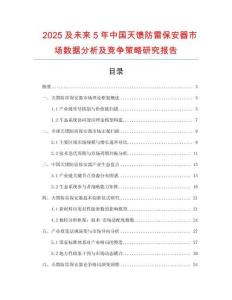 2025及未來5年中國(guó)天饋防雷保安器市場(chǎng)數(shù)據(jù)分析及競(jìng)爭(zhēng)策略研究報(bào)告