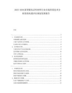 2025-2030新型催化活性材料行業市場供需技術分析投資機遇評估規劃發展報告