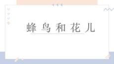 《蜂鳥和花兒》美術教育PPT繪畫課件創意教程教案