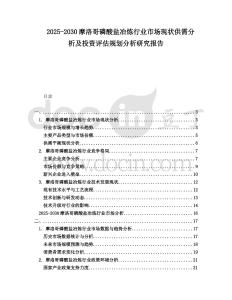 2025-2030摩洛哥磷酸鹽冶煉行業(yè)市場(chǎng)現(xiàn)狀供需分析及投資評(píng)估規(guī)劃分析研究報(bào)告
