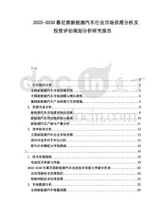 2025-2030慕尼黑新能源汽車行業市場供需分析及投資評估規劃分析研究報告
