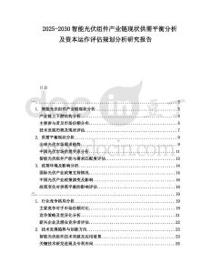 2025-2030智能光伏組件產(chǎn)業(yè)鏈現(xiàn)狀供需平衡分析及資本運(yùn)作評(píng)估規(guī)劃分析研究報(bào)告
