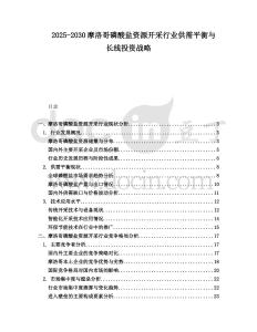 2025-2030摩洛哥磷酸鹽資源開(kāi)采行業(yè)供需平衡與長(zhǎng)線投資戰(zhàn)略