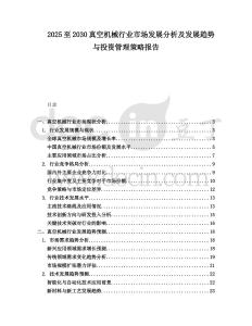 2025至2030真空機械行業市場發展分析及發展趨勢與投資管理策略報告
