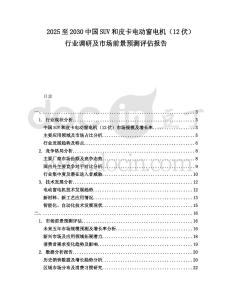 2025至2030中國SUV和皮卡電動窗電機（12伏）行業調研及市場前景預測評估報告