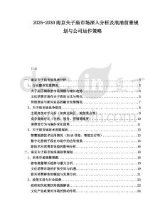 2025-2030南京夫子廟市場深入分析及浪涌前景規劃與公司運作策略