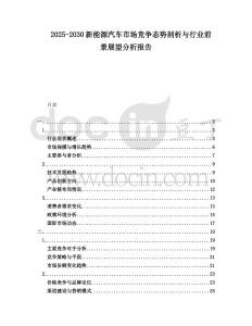 2025-2030新能源汽車市場競爭態勢剖析與行業前景展望分析報告