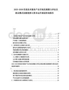 2025-2030信息技術服務產業市場發展潛力評估及商業模式創新趨勢與資本運作規劃咨詢報告
