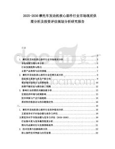 2025-2030摩托車發(fā)動(dòng)機(jī)核心部件行業(yè)市場(chǎng)現(xiàn)狀供需分析及投資評(píng)估規(guī)劃分析研究報(bào)告