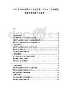 2025至2030中國供氣式呼吸器（SCBA）行業(yè)調(diào)研及市場前景預(yù)測評估報(bào)告