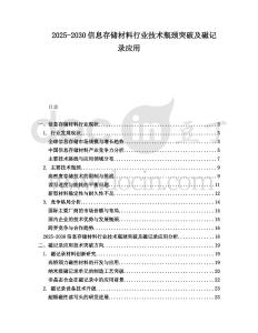 2025-2030信息存儲材料行業技術瓶頸突破及磁記錄應用