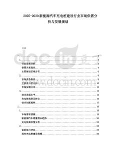 2025-2030新能源汽車充電樁建設(shè)行業(yè)市場供需分析與發(fā)展規(guī)劃