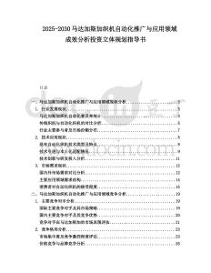 2025-2030馬達(dá)加斯加織機(jī)自動化推廣與應(yīng)用領(lǐng)域成效分析投資立體規(guī)劃指導(dǎo)書