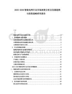 2025-2030智能電網行業市場深度分析及發展趨勢與投資戰略研究報告