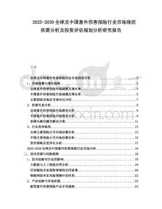 2025-2030全球及中國意外傷害保險行業市場現狀供需分析及投資評估規劃分析研究報告