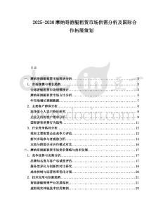 2025-2030摩納哥游艇租賃市場供需分析及國際合作拓展策劃