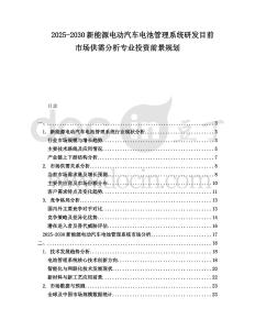 2025-2030新能源電動汽車電池管理系統研發目前市場供需分析專業投資前景規劃
