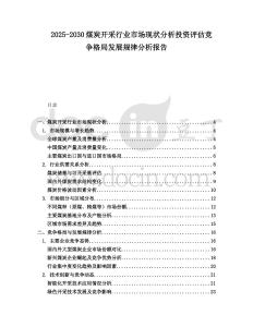 2025-2030煤炭開采行業(yè)市場現(xiàn)狀分析投資評估競爭格局發(fā)展規(guī)律分析報告