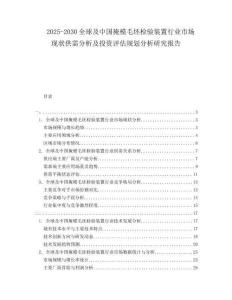 2025-2030全球及中國掩模毛坯檢驗裝置行業市場現狀供需分析及投資評估規劃分析研究報告