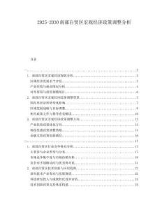 2025-2030南部自貿區宏觀經濟政策調整分析