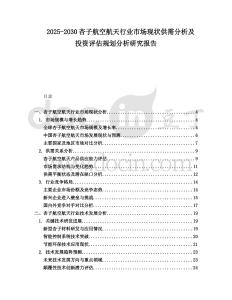 2025-2030杏子航空航天行業(yè)市場現(xiàn)狀供需分析及投資評估規(guī)劃分析研究報告
