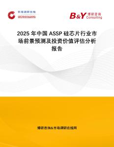 2025年中國ASSP硅芯片行業市場前景預測及投資價值評估分析報告