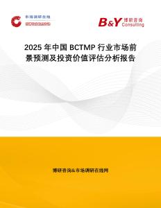2025年中國BCTMP行業(yè)市場前景預測及投資價值評估分析報告